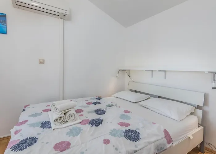 Pet Friendly In With Wifi